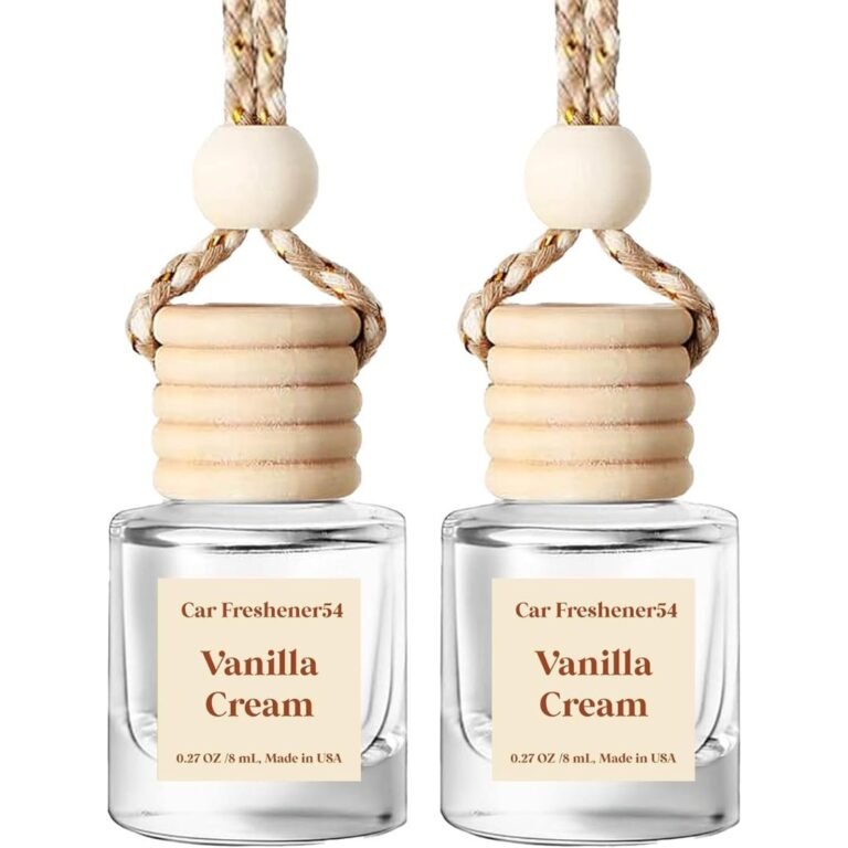 Car Air Freshener Diffuser 2 Pack Hanging Air Freshener Diffuser